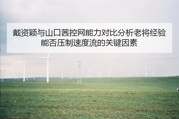 戴资颖与山口茜控网能力对比分析老将经验能否压制速度流的关键因素
