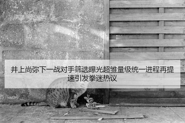 井上尚弥下一战对手筛选曝光超雏量级统一进程再提速引发拳迷热议