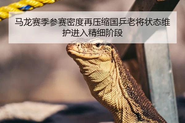 马龙赛季参赛密度再压缩国乒老将状态维护进入精细阶段