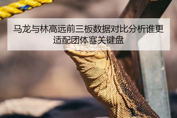马龙与林高远前三板数据对比分析谁更适配团体赛关键盘