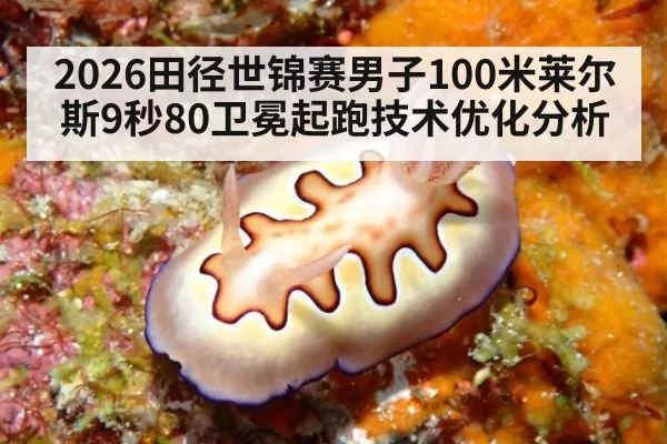 2026田径世锦赛男子100米莱尔斯9秒80卫冕起跑技术优化分析